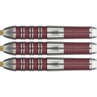 Target Stephen Bunting 95K 95% Swiss